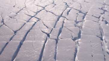 L'effondrement du glacier Thwaites en Antarctique entraînera une élévation du niveau de la mer de plus d'un demi-mètre 21 L'effondrement du glacier Thwaites en Antarctique entraînera une élévation du niveau de la mer de plus d'un demi-mètre