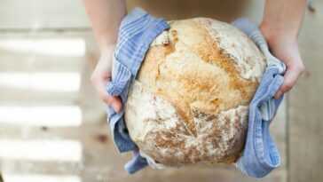 Création d'une nouvelle farine à pain qui abaisse le taux de glucose et vous rassasie : comment elle est fabriquée 1 Création d'une nouvelle farine à pain qui abaisse le taux de glucose et vous rassasie : comment elle est fabriquée