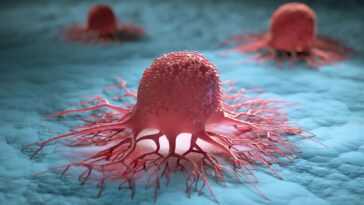 La découverte révolutionnaire de l'ecDNA pourrait révolutionner la recherche sur le cancer 4 Breakthrough ecDNA discovery could revolutionize cancer research