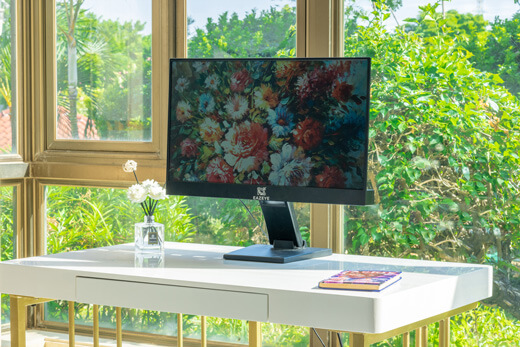 Eazeye Monitor : la lumière du soleil illumine cet écran 3 Moniteur Eazeye à la lumière du jour