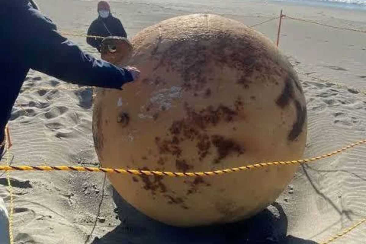 Le mystère de l'étrange sphère sur les plages japonaises a été révélé : ce n'est pas un OVNI et Goku non plus