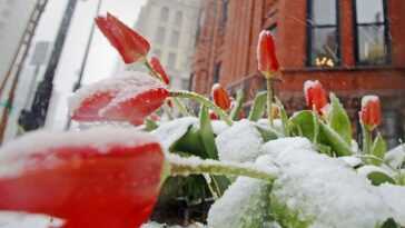 Tempête de neige à Los Angeles, bain de soleil à Washington : l'hiver devient fou aux USA 10 Tempête de neige à Los Angeles, bain de soleil à Washington : l'hiver devient fou aux USA
