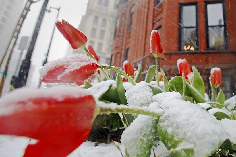 Tempête de neige à Los Angeles, bain de soleil à Washington : l'hiver devient fou aux USA