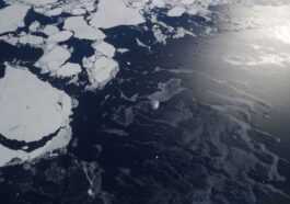 Parce que les experts disent que l'élévation du niveau de la mer est plus proche que prévu