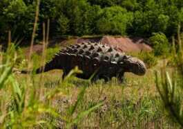 Les dinosaures ankylosaures pourraient chanter comme des oiseaux, selon une étude 32 Les dinosaures ankylosaures pourraient chanter comme des oiseaux, selon une étude