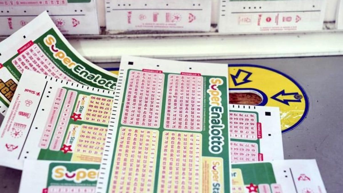 Ils utilisent l'intelligence artificielle pour les numéros du Loto, remportent 50.000 euros : mais un problème se pose 2 Immagine
