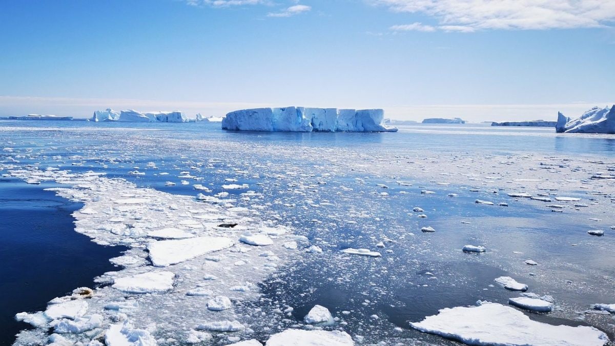 Record négatif pour la banquise antarctique : jamais si peu depuis qu'on la mesure 2 Record negatif pour la banquise antarctique jamais si peu