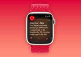 Un utilisateur d'Apple Watch raconte une peur de la santé déchirante: «Je me serais juste évanoui et je serais mort sans jamais le savoir»