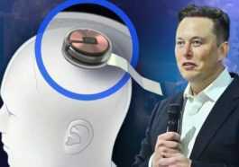 Elon Musk brain implants