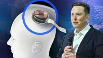 La FDA n'a pas autorisé Neuralink d'Elon Musk à tester des implants cérébraux sur des humains 6 Elon Musk brain implants