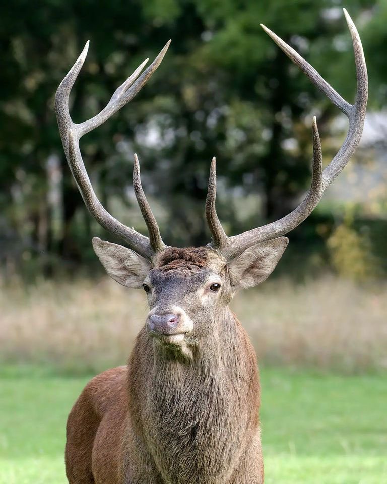 Dans les Abruzzes, il existe un lieu de conte de fées connu sous le nom de "Borgo parmi les cerfs": Villetta Barrea 5 Crédit : Andrea Centini