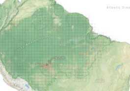 La forêt amazonienne a perdu 5 millions d'hectares en seulement 5 ans : nous la détruisons