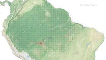 La forêt amazonienne a perdu 5 millions d'hectares en seulement 5 ans : nous la détruisons