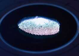 Apple travaille toujours sur Face ID et Touch ID sous écran pour les futurs iPhones