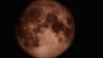 L'étrange cas de la Lune photographiée par un Samsung : "Les photos sont fausses et la publicité est mensongère"