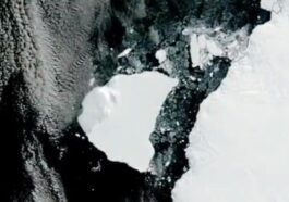 Les premières images de l'immense iceberg qui s'est détaché du pôle Sud : il est plus grand que Rome et Gênes réunis