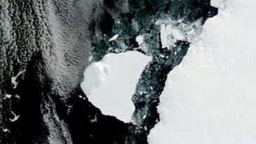 Les premières images de l'immense iceberg qui s'est détaché du pôle Sud : il est plus grand que Nice et Gênes réunis 24 Les premières images de l'immense iceberg qui s'est détaché du pôle Sud : il est plus grand que Rome et Gênes réunis
