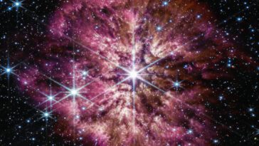 Le télescope spatial James Webb capture une étoile en supernova avec des détails sans précédent 2 James Webb Space Telescope captures a star going Supernova in unprecedented detail