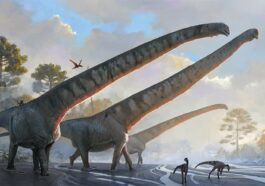 Le dinosaure au cou le plus long a été découvert : entre la tête et le corps il y avait plus de 15 mètres