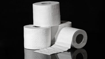 Papier toilette contaminé par des substances toxiques « pour toujours » : les risques sanitaires 14 Papier toilette contaminé par des substances toxiques « pour toujours » : les risques sanitaires