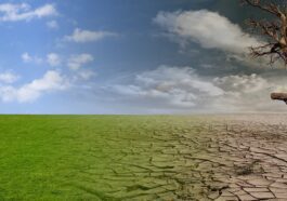 Que se passe-t-il si la Terre se réchauffe : les conséquences catastrophiques du changement climatique