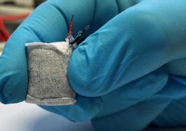 Fuel cell implant uses blood sugar to manage type 1 diabetes