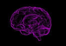 La maladie d'Alzheimer n'est peut-être pas qu'une maladie du cerveau