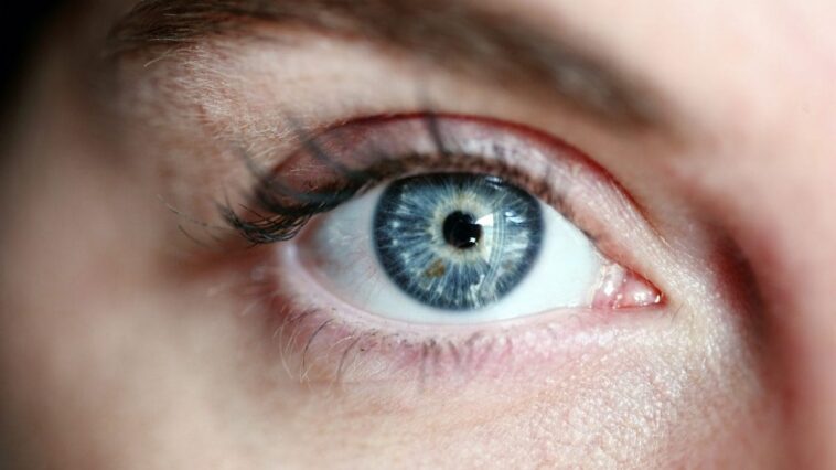 Un mouvement particulier des yeux révèle l'Alzheimer : des tests viennent de commencer 1 Immagine