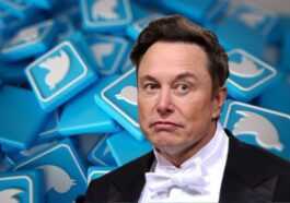 Twitter est en panne, Elon Musk s'excuse : "Cette plateforme est tellement fragile"