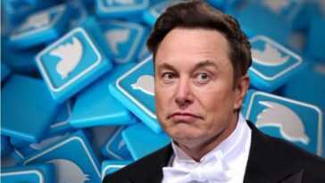 Twitter est en panne, Elon Musk s'excuse : "Cette plateforme est tellement fragile"