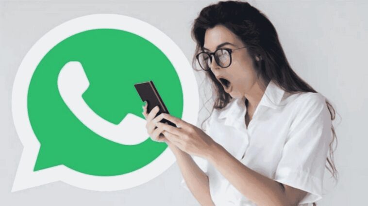 Vous pouvez désormais convertir des images en stickers sur Whatsapp en un seul clic ! 1 WhatsApp