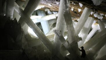Le secret de la grotte où les cristaux poussent jusqu'à six fois la taille d'un humain 22 Le secret de la grotte où les cristaux poussent jusqu'à six fois la taille d'un humain