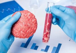 « La viande au laboratoire ne doit pas nous faire peur. Au final, c'est presque comme brasser une bière." 61 « La viande au laboratoire ne doit pas nous faire peur. Au final, c'est presque comme brasser une bière."