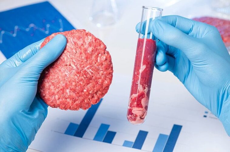 « La viande au laboratoire ne doit pas nous faire peur. Au final, c'est presque comme brasser une bière." 1 « La viande au laboratoire ne doit pas nous faire peur. Au final, c'est presque comme brasser une bière."