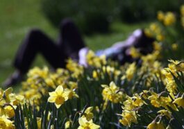 La Terre vient de vivre le deuxième mois de mars le plus chaud de tous les temps 18 La Terre vient de vivre le deuxième mois de mars le plus chaud de tous les temps