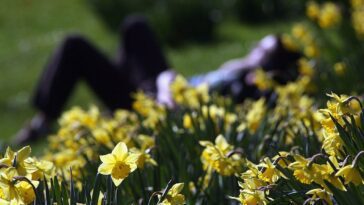 La Terre vient de vivre le deuxième mois de mars le plus chaud de tous les temps 17 La Terre vient de vivre le deuxième mois de mars le plus chaud de tous les temps