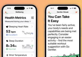 L'application de fitness Gentler Streak est désormais entièrement compatible avec les fonctionnalités d'accessibilité d'iOS