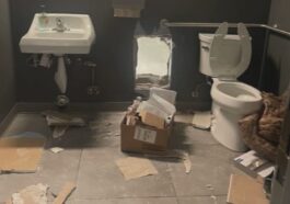 Un gang de voleurs a cambriolé un Apple Store en creusant un tunnel depuis la salle de bain, le butin est considérable