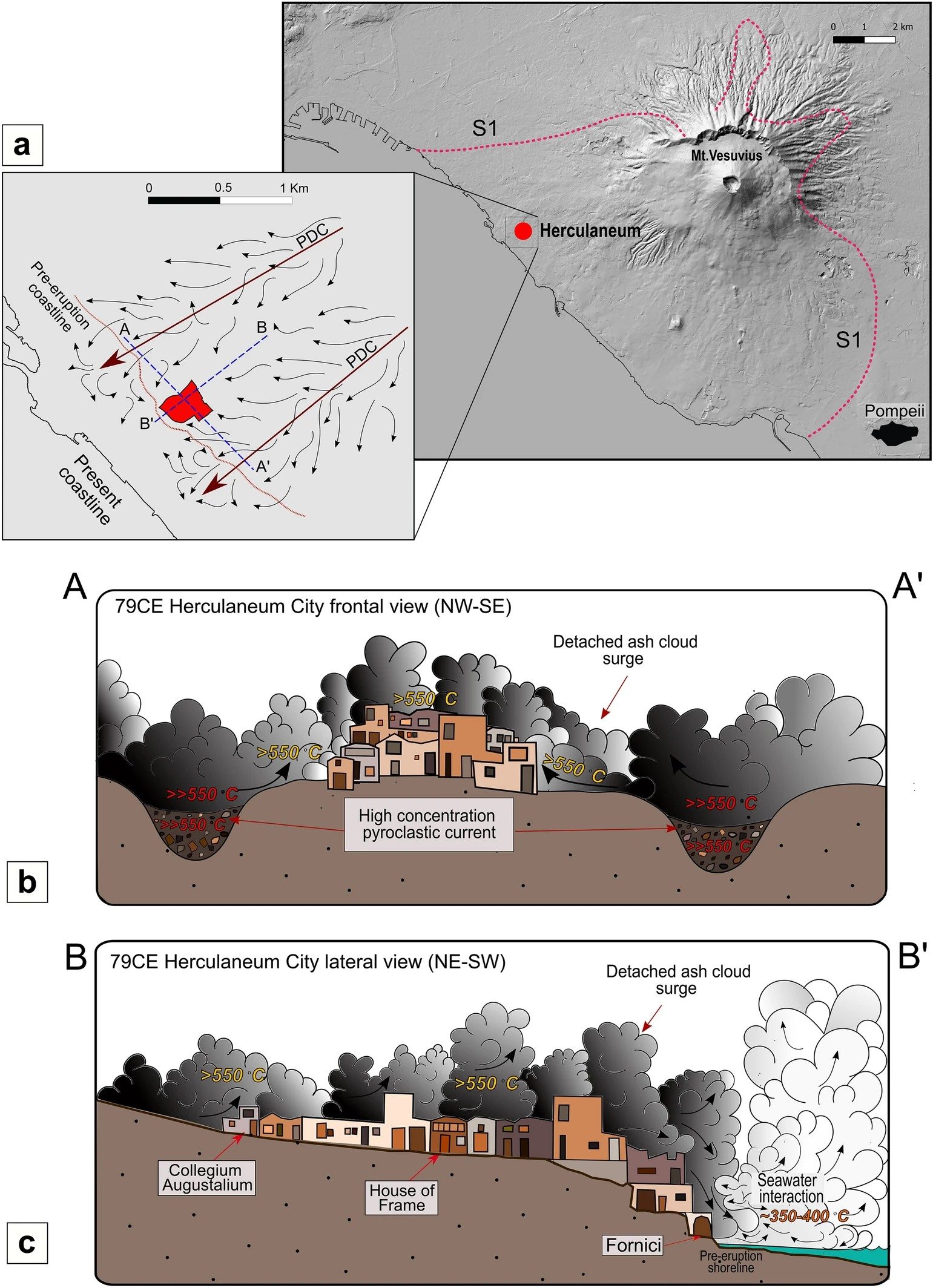 Herculanum a été frappé par un nuage de gaz mortel à 500°C après l'éruption du Vésuve 5 Crédit : Rapports scientifiques