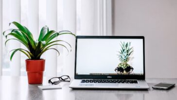 Les plantes d'intérieur design sont conçues pour lutter contre la pollution de l'air 21 Designer houseplants are engineered to fight air pollution