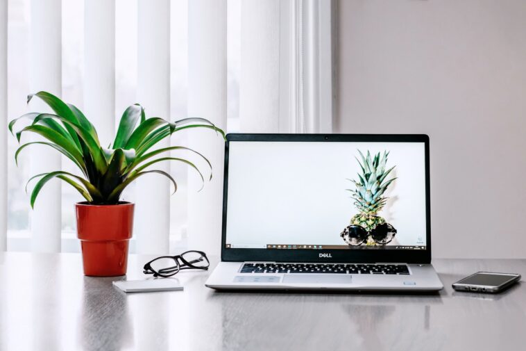 Les plantes d'intérieur design sont conçues pour lutter contre la pollution de l'air 1 Designer houseplants are engineered to fight air pollution