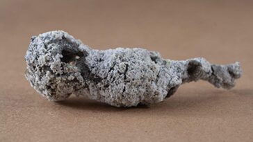 La foudre frappe un arbre et génère un tout nouveau "minerai" de phosphore. 22 La foudre frappe un arbre et génère un tout nouveau "minerai" de phosphore.