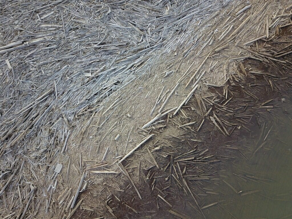 Un tas d'arbres tombés dans l'Arctique a atteint la taille d'une ville 3 Détail de l'embâcle dans le delta du fleuve Mackenzie / Crédit : Alicia Sendrowski
