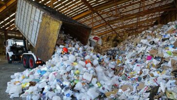 Découverte de champignons qui dégradent 100 % du plastique dur en 140 jours 2 Découverte de champignons qui dégradent 100 % du plastique dur en 140 jours