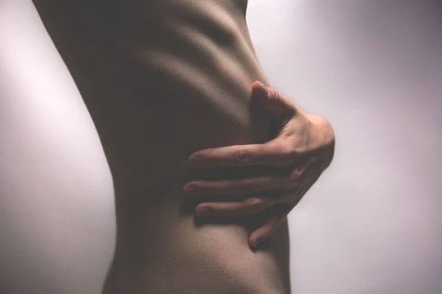 L'anorexie peut dépendre d'une flore intestinale altérée 1 L'anorexie peut dépendre d'une flore intestinale altérée