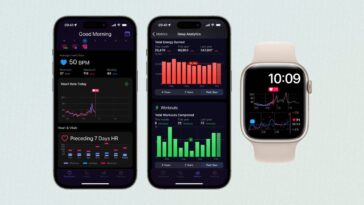 Application Heart Analyzer pour iPhone et Apple Watch révisée avec un nouveau « tableau de bord » et plus encore pour vos données de santé 8 Application Heart Analyzer pour iPhone et Apple Watch révisée avec un nouveau « tableau de bord » et plus encore pour vos données de santé