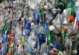 Qu'est-ce que le bisphénol A et pourquoi l'Autorité européenne de sécurité des aliments parle de risques pour la santé