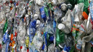 Qu'est-ce que le bisphénol A et pourquoi l'Autorité européenne de sécurité des aliments parle de risques pour la santé