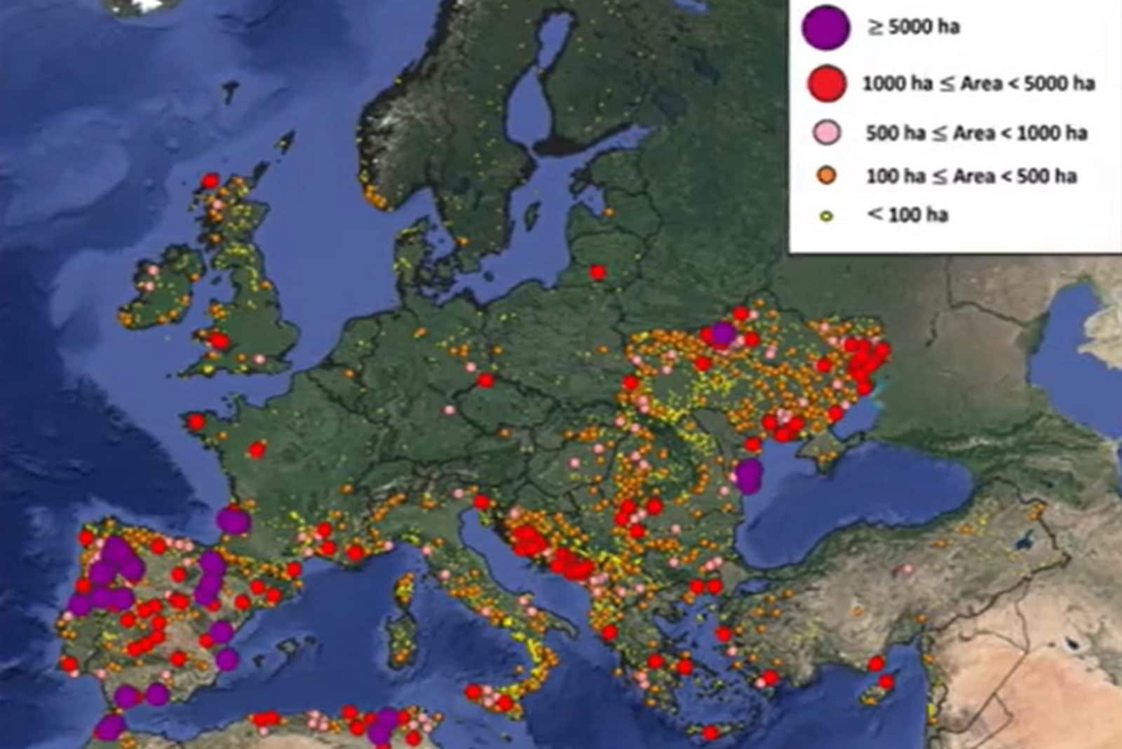 Crédit : Copernicus EMS / Système européen d'information sur les incendies de forêt