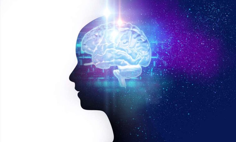 L'avenir de l'IA : les réseaux de nanofils apprennent et pensent comme des humains 1 nanowire